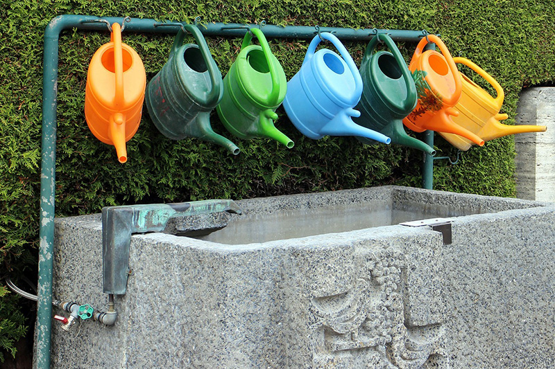 Affordable home - rainwater collection