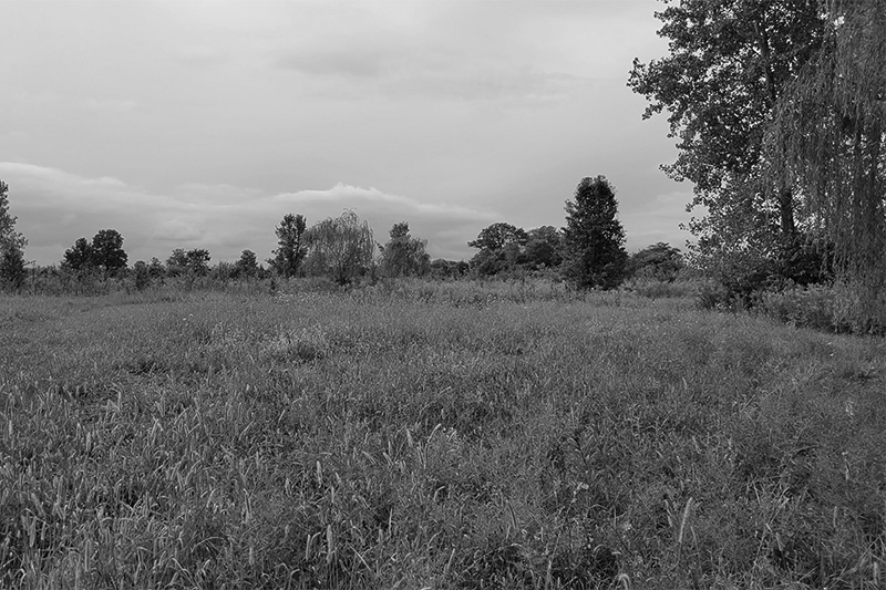 Ashville Uncommon site photo Ashville Uncommon site photo