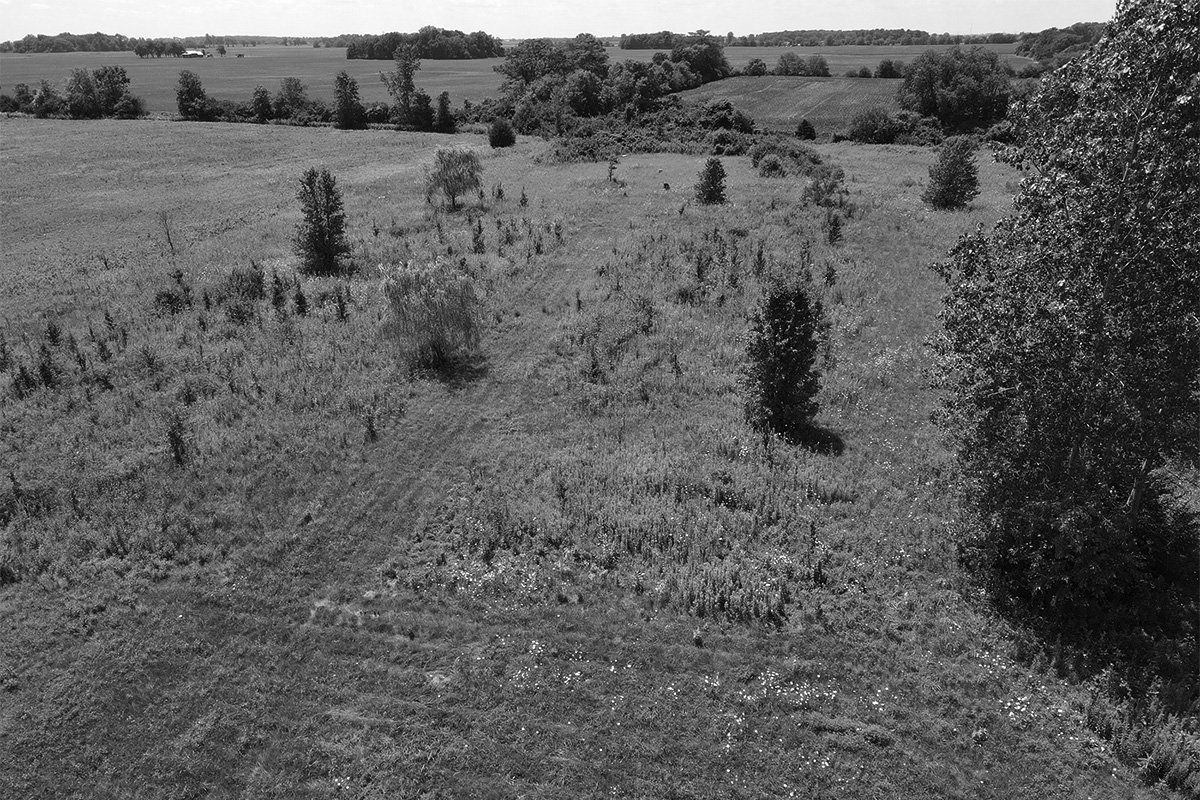 Ashville Uncommon site photo Ashville Uncommon site photo