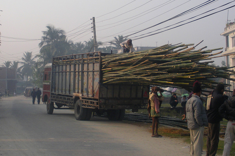 Bamboo house construction