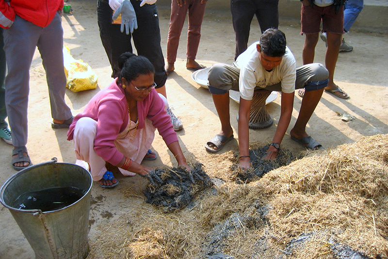 Bamboo house construction