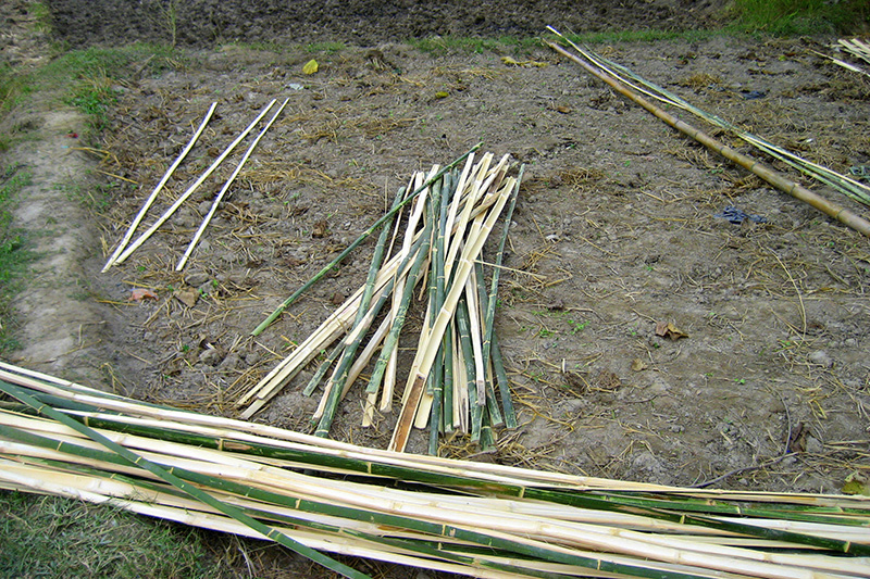 Bamboo house construction