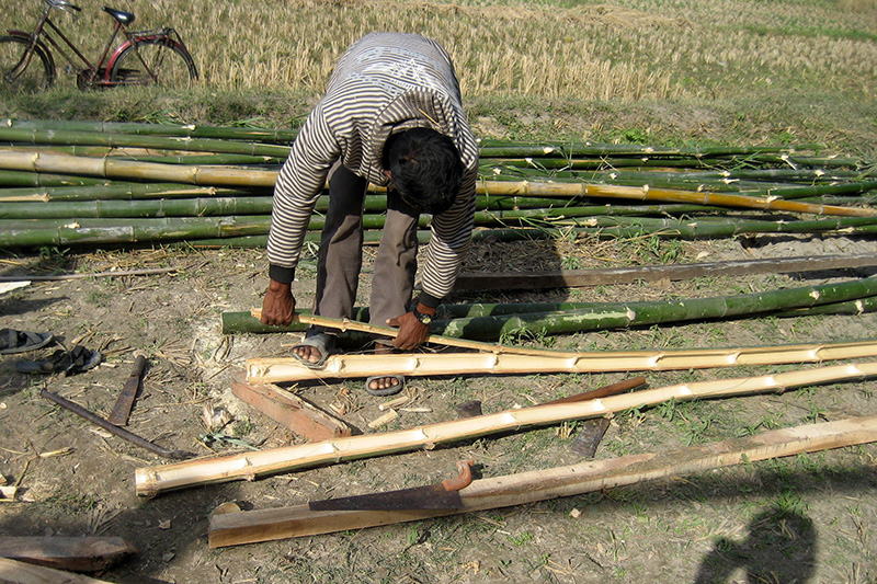 Bamboo house construction