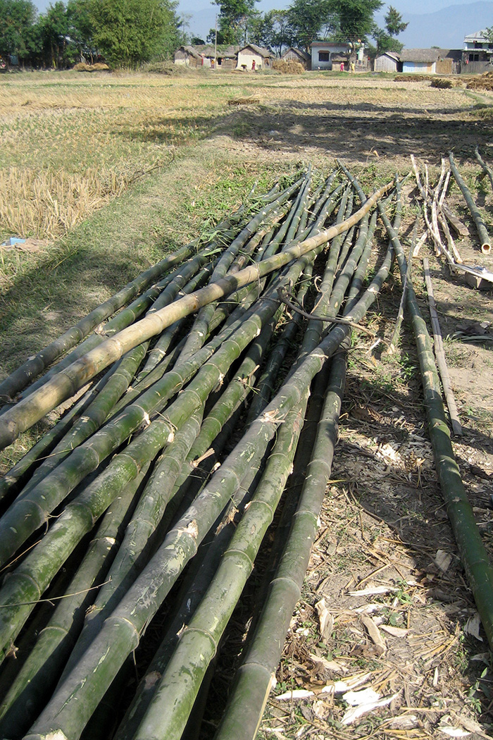 locally sourced bamboo