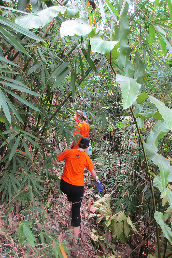 Building a check dam in Thailand