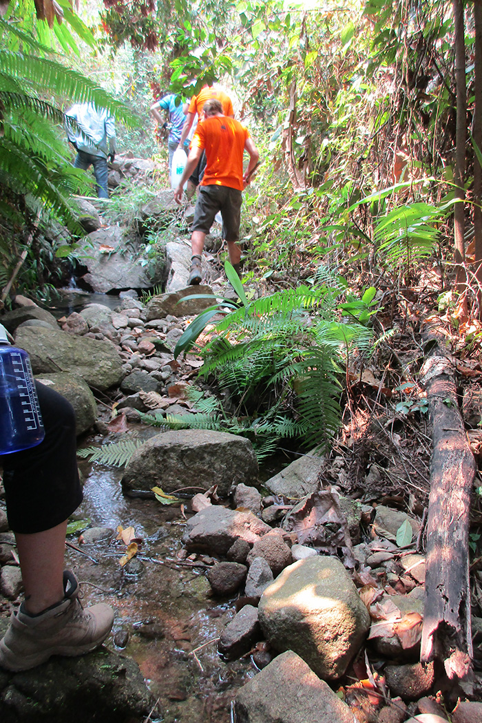 Building a check dam in Thailand