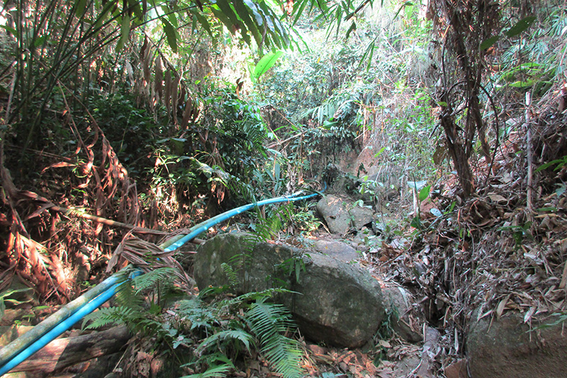 Building a check dam in Thailand