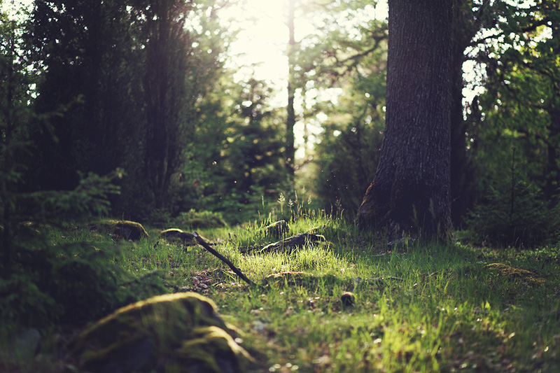 Benefits of Working With an Architect - Environmental Analysis
