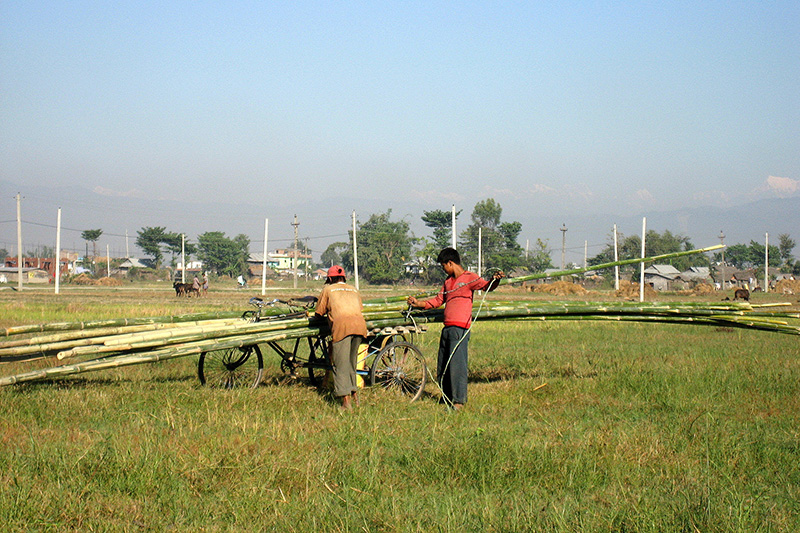locally sourced bamboo