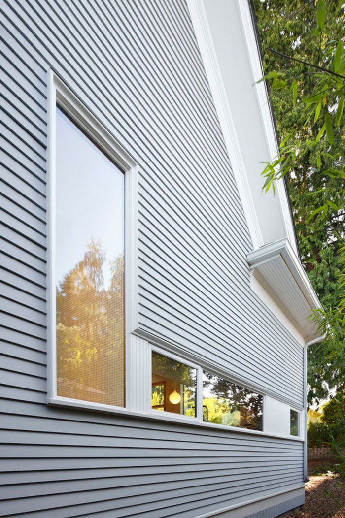 Modern Window No Trim