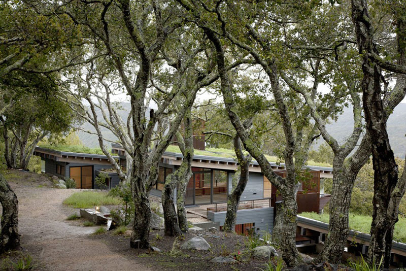 Modern mountain house with green roof nestled in the trees