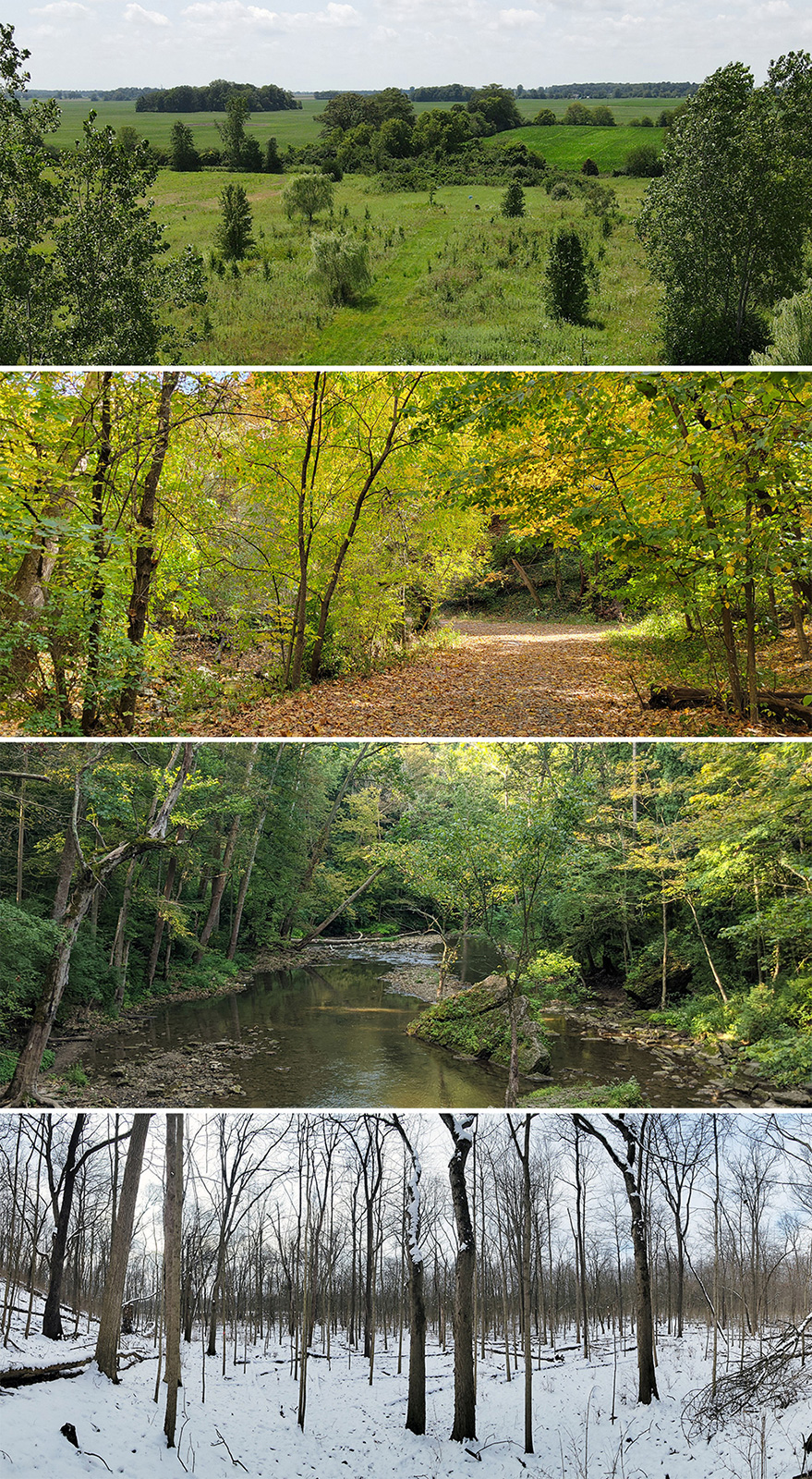 4 landscapes of Ohio showing various seasons and vegetation