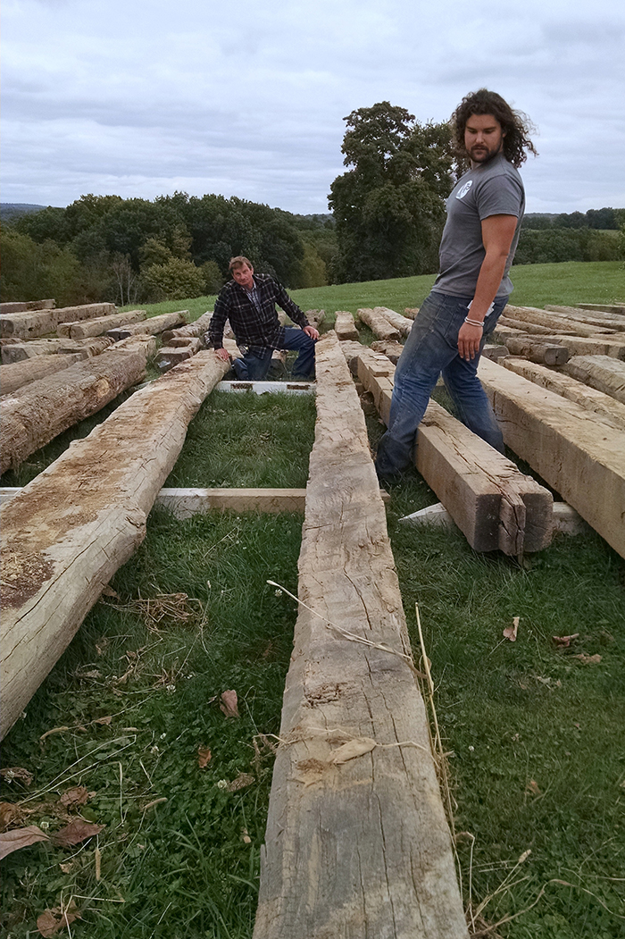 Reclaimed timber visual inspection