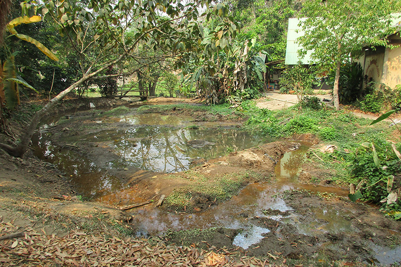 Retaining Wall Road Repair in Thailand