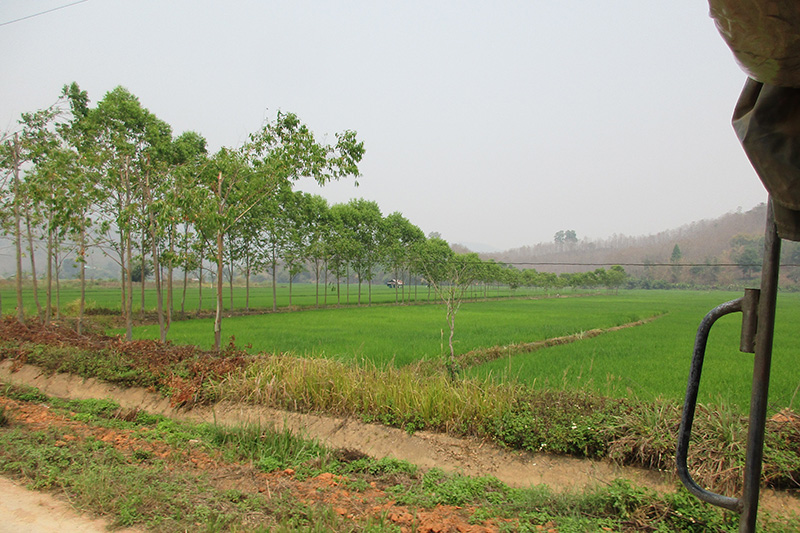 Chiang Rai