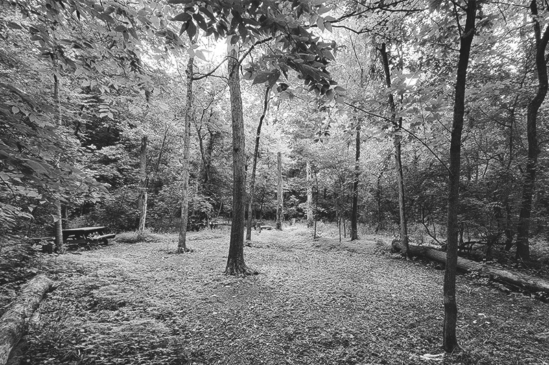 Scioto Woods Retreat