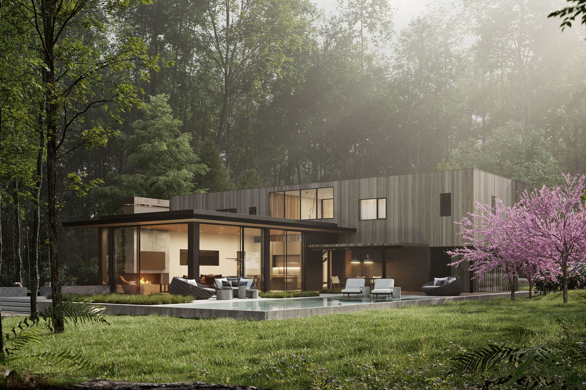 A modern house with a lot of glass in the woods