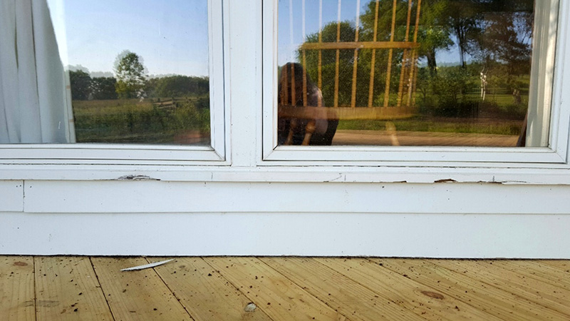 wooden window frame damage